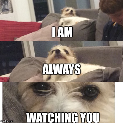 I will be watching you | I AM; ALWAYS; WATCHING YOU | image tagged in i will be watching you | made w/ Imgflip meme maker
