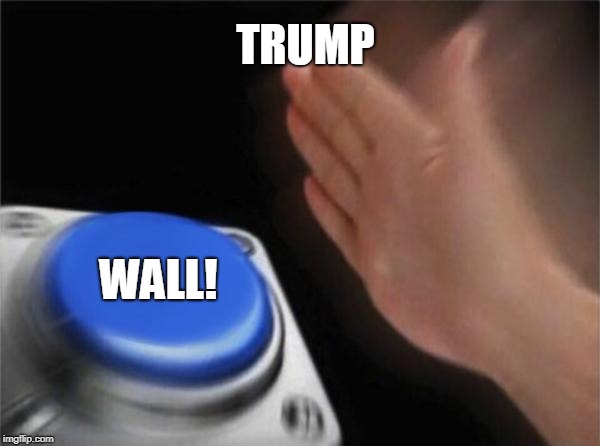 Blank Nut Button Meme | TRUMP; WALL! | image tagged in memes,blank nut button | made w/ Imgflip meme maker