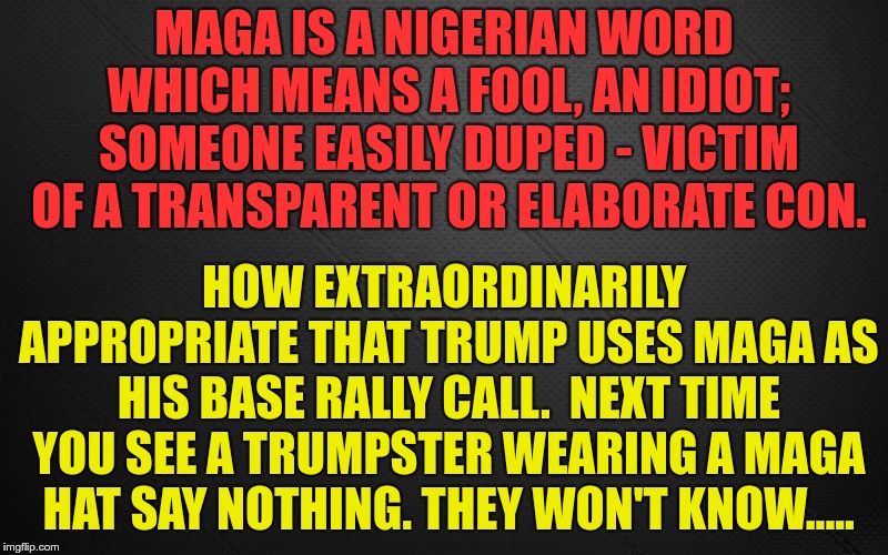 MAGA | MAGA IS A NIGERIAN WORD WHICH MEANS A FOOL, AN IDIOT; SOMEONE EASILY DUPED - VICTIM OF A TRANSPARENT OR ELABORATE CON. HOW EXTRAORDINARILY APPROPRIATE THAT TRUMP USES MAGA AS HIS BASE RALLY CALL.

NEXT TIME YOU SEE A TRUMPSTER WEARING A MAGA HAT SAY NOTHING. THEY WON'T KNOW..... | image tagged in trump,maga,fools,fascists | made w/ Imgflip meme maker