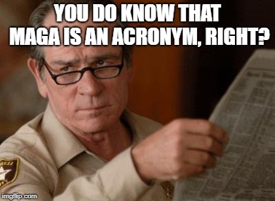 Tommy Lee Jones | YOU DO KNOW THAT MAGA IS AN ACRONYM, RIGHT? | image tagged in tommy lee jones | made w/ Imgflip meme maker