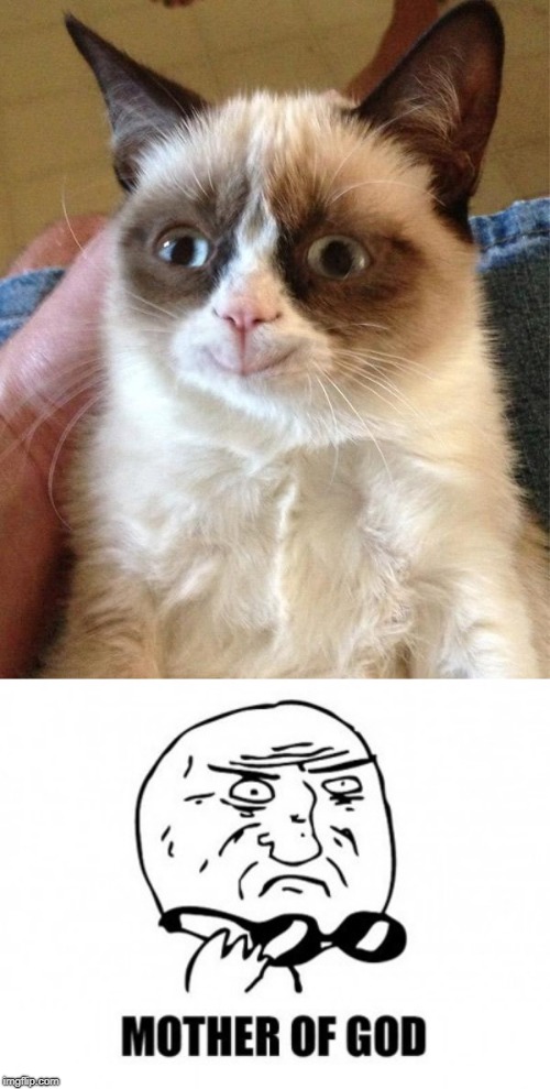 image tagged in memes,grumpy cat happy,mother of god | made w/ Imgflip meme maker