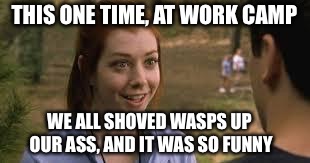 Band camp girl | THIS ONE TIME, AT WORK CAMP; WE ALL SHOVED WASPS UP OUR ASS, AND IT WAS SO FUNNY | image tagged in band camp girl | made w/ Imgflip meme maker