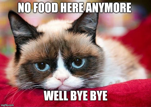 Grumpy cat moving house | NO FOOD HERE ANYMORE WELL BYE BYE | image tagged in grumpy cat moving house | made w/ Imgflip meme maker