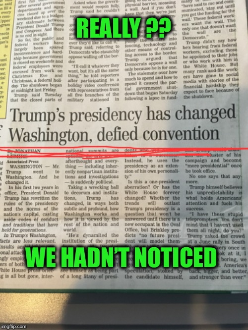 I’d like to meet the Einstein who came up with this title  | REALLY ?? WE HADN’T NOTICED | image tagged in president trump,winning,maga | made w/ Imgflip meme maker