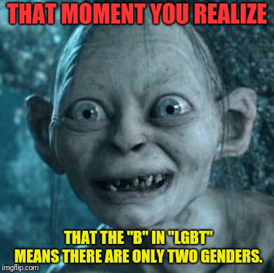 Gollum | THAT MOMENT YOU REALIZE; THAT THE "B" IN "LGBT" MEANS THERE ARE ONLY TWO GENDERS. | image tagged in memes,gollum | made w/ Imgflip meme maker