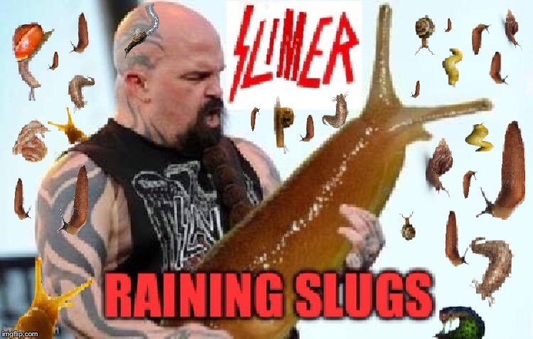 Show no Mucus | A | image tagged in slug,slayer,heavy metal,funny memes | made w/ Imgflip meme maker
