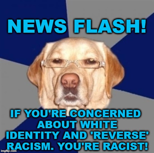 Ignorant Racist | NEWS FLASH! IF YOU'RE CONCERNED ABOUT WHITE IDENTITY AND 'REVERSE' RACISM. YOU'RE RACIST! | image tagged in racist dog,conservatives are racist,end racism,end fascism,screw white identity | made w/ Imgflip meme maker
