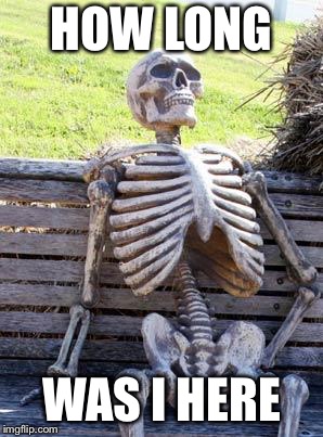 Waiting Skeleton Meme | HOW LONG; WAS I HERE | image tagged in memes,waiting skeleton | made w/ Imgflip meme maker