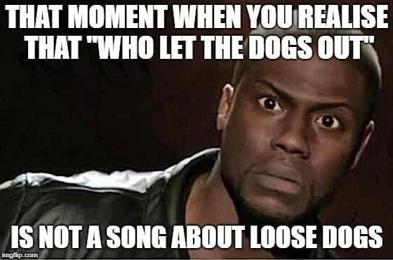 "Hol' up" | THAT MOMENT WHEN YOU REALISE THAT "WHO LET THE DOGS OUT"; IS NOT A SONG ABOUT LOOSE DOGS | image tagged in memes,kevin hart,funny,song | made w/ Imgflip meme maker