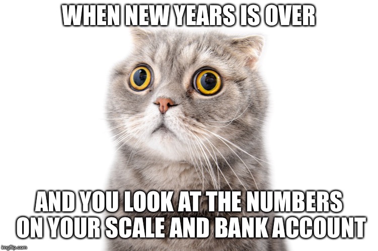WHEN NEW YEARS IS OVER; AND YOU LOOK AT THE NUMBERS ON YOUR SCALE AND BANK ACCOUNT | image tagged in ll | made w/ Imgflip meme maker