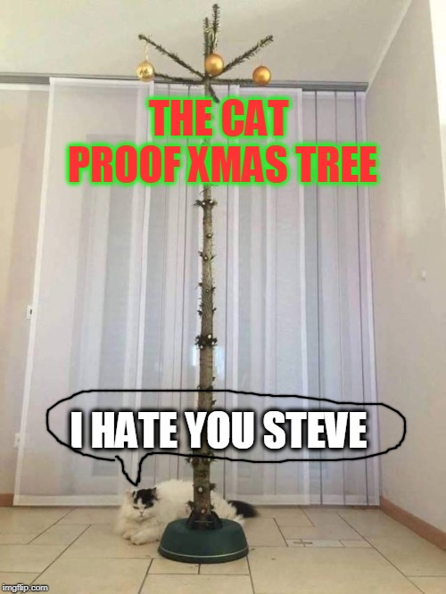 cat proof | THE CAT PROOF XMAS TREE; I HATE YOU STEVE | image tagged in cat proof,cats,xmas | made w/ Imgflip meme maker