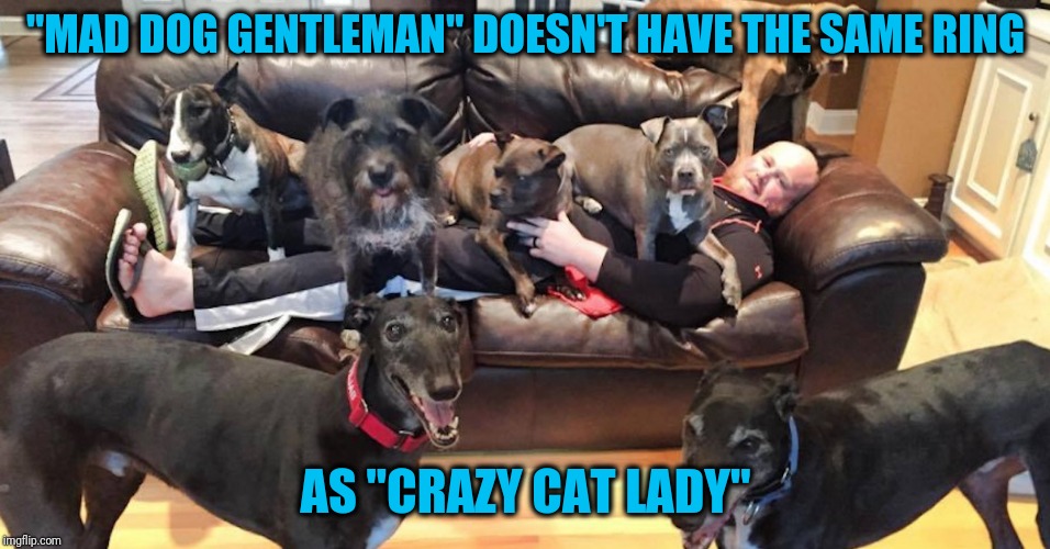 Lucky me | "MAD DOG GENTLEMAN" DOESN'T HAVE THE SAME RING; AS "CRAZY CAT LADY" | image tagged in man with dogs | made w/ Imgflip meme maker