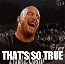 Stone Cold Laughing | THAT'S SO TRUE | image tagged in stone cold laughing | made w/ Imgflip meme maker