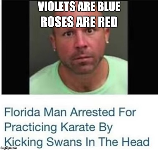 VIOLETS ARE BLUE; ROSES ARE RED | image tagged in roses are red | made w/ Imgflip meme maker