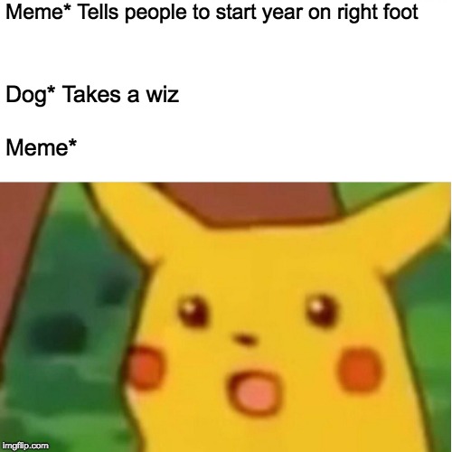 Surprised Pikachu Meme | Meme* Tells people to start year on right foot Dog* Takes a wiz Meme* | image tagged in memes,surprised pikachu | made w/ Imgflip meme maker