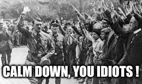 Nazi Germany Approves | CALM DOWN, YOU IDIOTS ! | image tagged in nazi germany approves | made w/ Imgflip meme maker