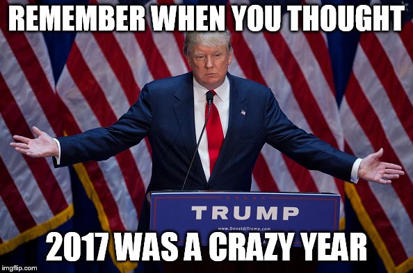 Donald Trump | REMEMBER WHEN YOU THOUGHT; 2017 WAS A CRAZY YEAR | image tagged in donald trump | made w/ Imgflip meme maker