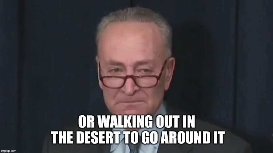 Chuck Schumer Crying | OR WALKING OUT IN THE DESERT TO GO AROUND IT | image tagged in chuck schumer crying | made w/ Imgflip meme maker