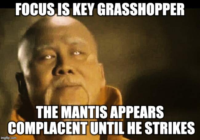 Master Po says | FOCUS IS KEY GRASSHOPPER THE MANTIS APPEARS COMPLACENT UNTIL HE STRIKES | image tagged in master po says | made w/ Imgflip meme maker