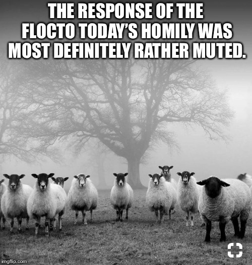 THE RESPONSE OF THE FLOCK TO TODAY’S HOMILY WAS MOST DEFINITELY RATHER MUTED. | made w/ Imgflip meme maker