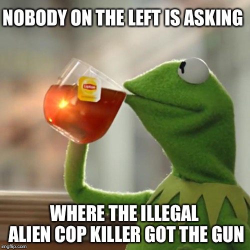 But that’s none of my business... | NOBODY ON THE LEFT IS ASKING; WHERE THE ILLEGAL ALIEN COP KILLER GOT THE GUN | image tagged in memes,but thats none of my business,kermit the frog | made w/ Imgflip meme maker