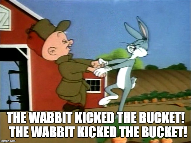 THE WABBIT KICKED THE BUCKET!  THE WABBIT KICKED THE BUCKET! | image tagged in cartoons | made w/ Imgflip meme maker