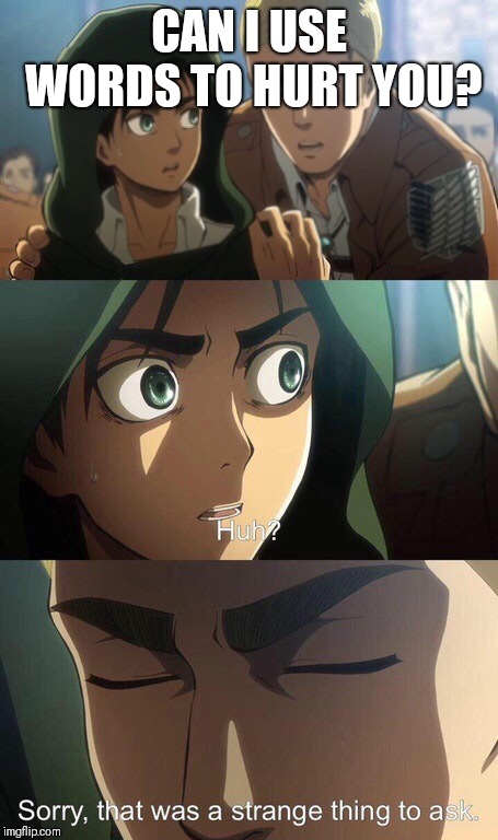 Strange question attack on titan | CAN I USE WORDS TO HURT YOU? | image tagged in strange question attack on titan | made w/ Imgflip meme maker