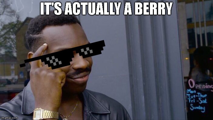 Roll Safe Think About It Meme | IT'S ACTUALLY A BERRY | image tagged in memes,roll safe think about it | made w/ Imgflip meme maker