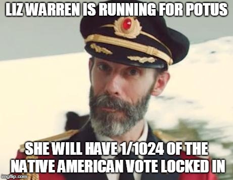 Captain Obvious | LIZ WARREN IS RUNNING FOR POTUS; SHE WILL HAVE 1/1024 OF THE NATIVE AMERICAN VOTE LOCKED IN | image tagged in captain obvious | made w/ Imgflip meme maker