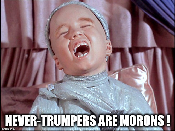 Laughing Alien | NEVER-TRUMPERS ARE MORONS ! | image tagged in laughing alien | made w/ Imgflip meme maker
