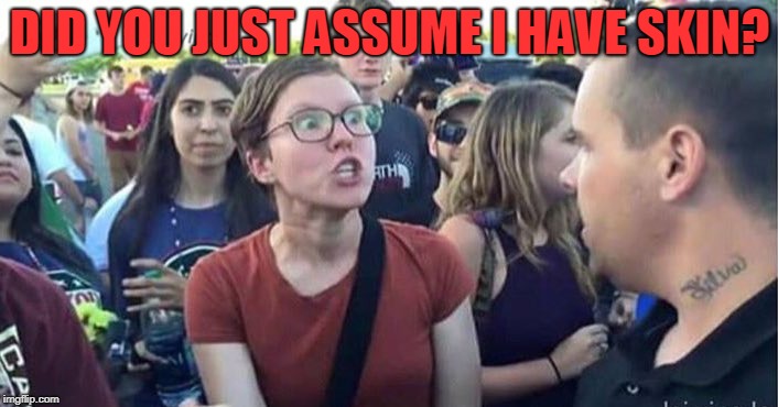 Did you just assume my gender | DID YOU JUST ASSUME I HAVE SKIN? | image tagged in did you just assume my gender | made w/ Imgflip meme maker