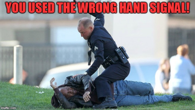 Cop Beating | YOU USED THE WRONG HAND SIGNAL! | image tagged in cop beating | made w/ Imgflip meme maker