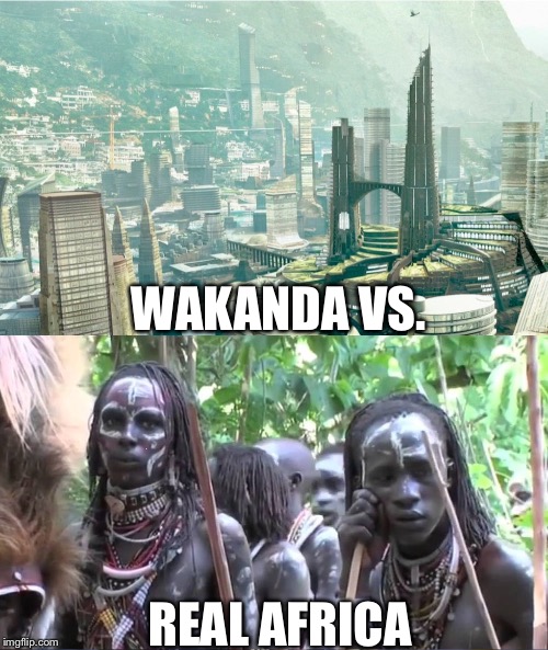 Wakanda, Africa | WAKANDA VS. REAL AFRICA | image tagged in wakanda africa | made w/ Imgflip meme maker