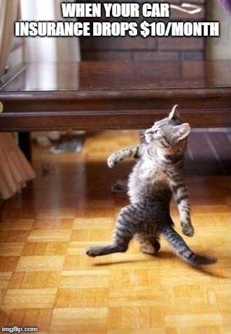 Cool Cat Stroll Meme | WHEN YOUR CAR INSURANCE DROPS $10/MONTH | image tagged in memes,cool cat stroll | made w/ Imgflip meme maker