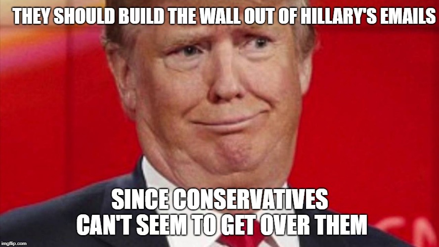 Build! That! Wall!  | THEY SHOULD BUILD THE WALL OUT OF HILLARY'S EMAILS; SINCE CONSERVATIVES CAN'T SEEM TO GET OVER THEM | image tagged in donald trump,conservatives,hillary emails,build the wall,the wall | made w/ Imgflip meme maker