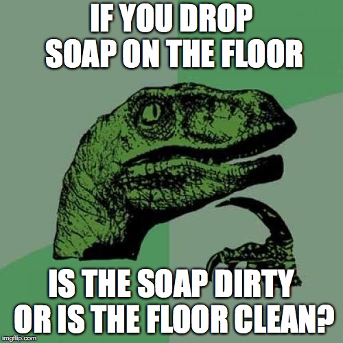 Philosoraptor | IF YOU DROP SOAP ON THE FLOOR; IS THE SOAP DIRTY OR IS THE FLOOR CLEAN? | image tagged in memes,philosoraptor | made w/ Imgflip meme maker