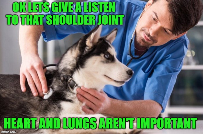 tv vet | OK LETS GIVE A LISTEN TO THAT SHOULDER JOINT; HEART AND LUNGS AREN'T IMPORTANT | image tagged in dog,vet,funny | made w/ Imgflip meme maker