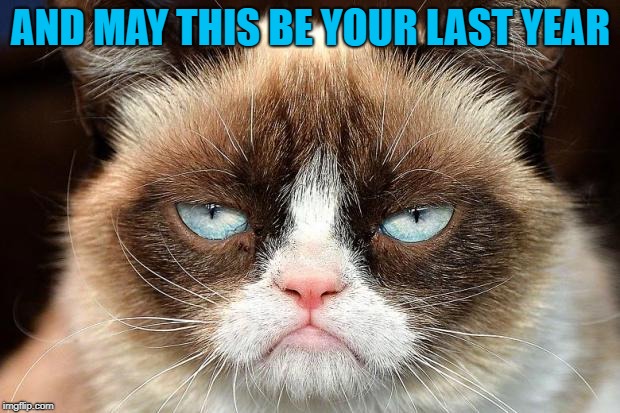 Grumpy Cat Not Amused Meme | AND MAY THIS BE YOUR LAST YEAR | image tagged in memes,grumpy cat not amused,grumpy cat | made w/ Imgflip meme maker