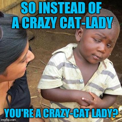 Third World Skeptical Kid Meme | SO INSTEAD OF A CRAZY CAT-LADY YOU'RE A CRAZY-CAT LADY? | image tagged in memes,third world skeptical kid | made w/ Imgflip meme maker