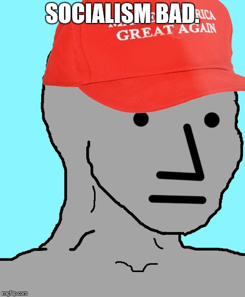 MAGA NPC | SOCIALISM BAD. | image tagged in maga npc | made w/ Imgflip meme maker