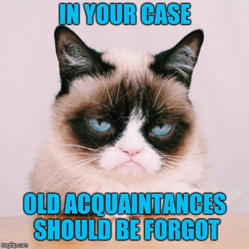 grumpy cat again | IN YOUR CASE OLD ACQUAINTANCES SHOULD BE FORGOT | image tagged in grumpy cat again | made w/ Imgflip meme maker