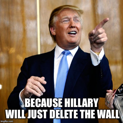 Donal Trump Birthday | BECAUSE HILLARY WILL JUST DELETE THE WALL | image tagged in donal trump birthday | made w/ Imgflip meme maker