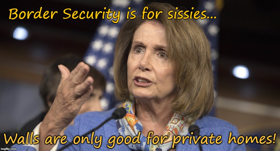 Pelosi:  border security is for sissies | Border Security is for sissies... Walls are only good for private homes! | image tagged in nancy pelosi,sissies,border security,wall,private homes | made w/ Imgflip meme maker