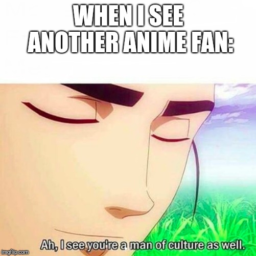 I like to think that I'm cultured... | WHEN I SEE ANOTHER ANIME FAN: | image tagged in ah i see you are a man of culture as well,anime,fan | made w/ Imgflip meme maker