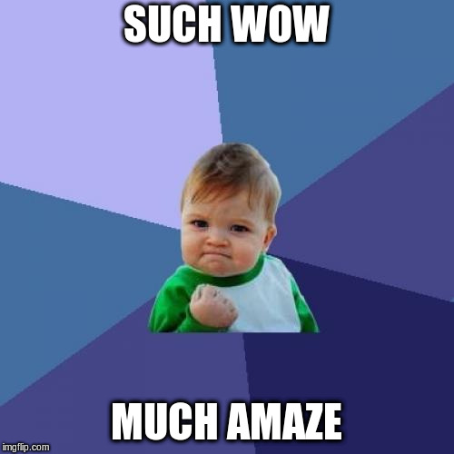 Success Kid Meme | SUCH WOW MUCH AMAZE | image tagged in memes,success kid | made w/ Imgflip meme maker