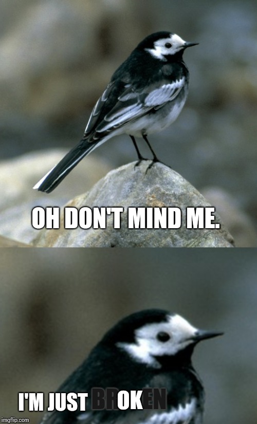 I'm ok.  | OH DON'T MIND ME. BR     EN; I'M JUST; OK | image tagged in broken,depression,clinically depressed pied wagtail | made w/ Imgflip meme maker