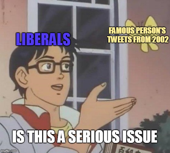 Is This A Pigeon Meme | FAMOUS PERSON'S TWEETS FROM 2002; LIBERALS; IS THIS A SERIOUS ISSUE | image tagged in memes,is this a pigeon | made w/ Imgflip meme maker