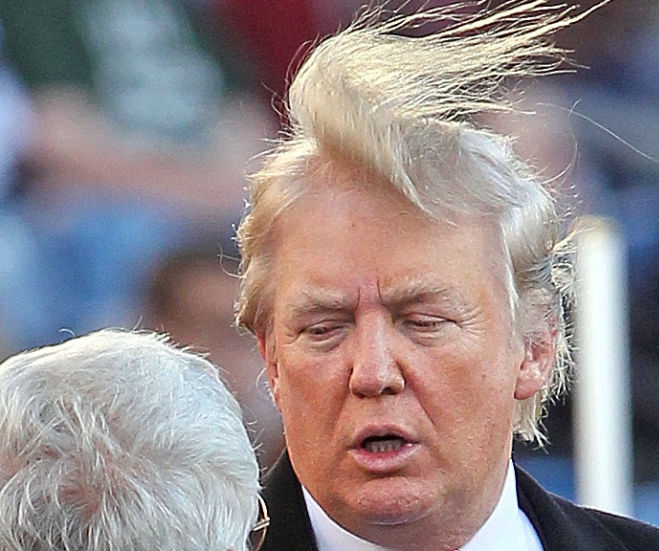 High Quality Trump comb over hair Blank Meme Template