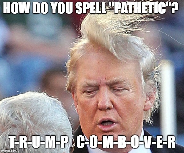 Trump comb over hair | HOW DO YOU SPELL "PATHETIC"? T-R-U-M-P   C-O-M-B-O-V-E-R | image tagged in trump comb over hair | made w/ Imgflip meme maker
