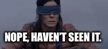 When someone asks me about Bird Box.  |  NOPE, HAVEN’T SEEN IT. | image tagged in bird box,birdbox,blind,memes | made w/ Imgflip meme maker